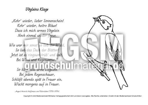 M-Vögleins-Klage-Fallersleben.pdf